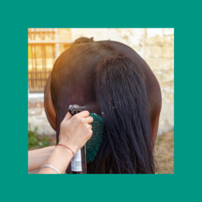 Sommerprodukter Salka Horse