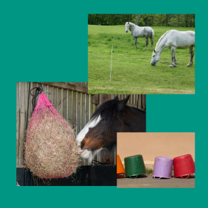 Stald, mark og hegn Salka Horse