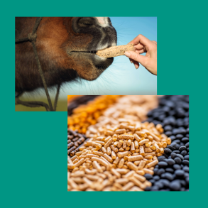 Tilskudsprodukter Salka Horse