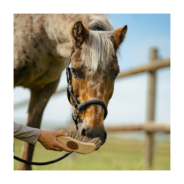 Borstiq Allround b�rste