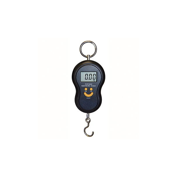 H�ngev�gt  digital 40 kg
