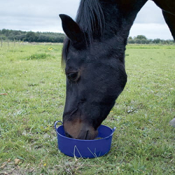 Flexspand - Fdevare Godkendt