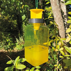 Flue/Hvepsef�lde M/Lokkemid. 2 stk