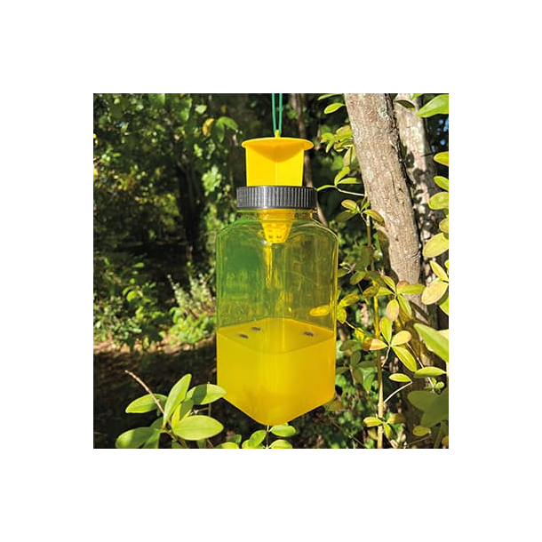 Flue/Hvepsef�lde M/Lokkemid. 2 stk