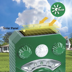 Katteskr�mmer Ryom Solar Blitz