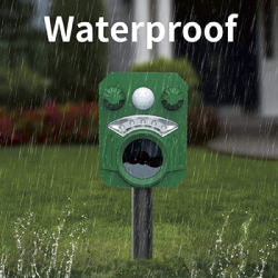 Katteskr�mmer Ryom Solar Blitz