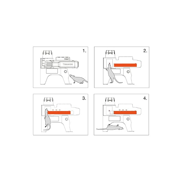 Rotte- Musef�lde Genopl. MK47 Ryom