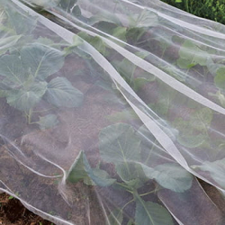 Insektnet/K�lnet 6 Pl�kker 2X5 M