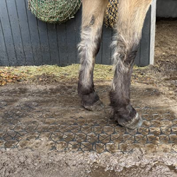 Armeringsgitter Gr�s/Jord 57,5X38 cm