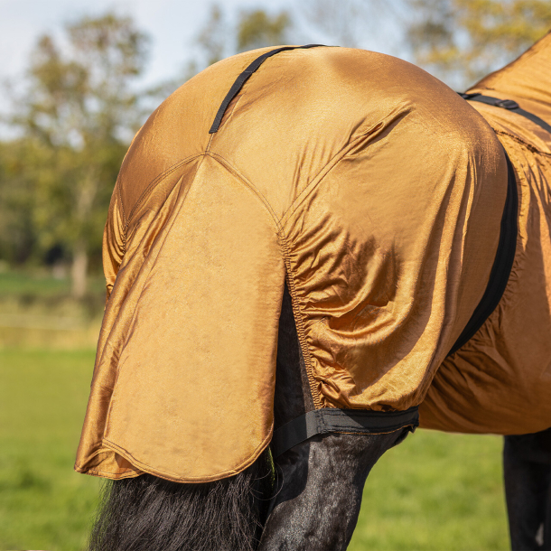 Eksemd�kken � Big Neck