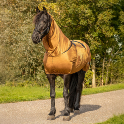 Eksemd�kken � Big Neck