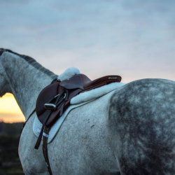 ThinLine �Lammeskinds� Comfort Half pad