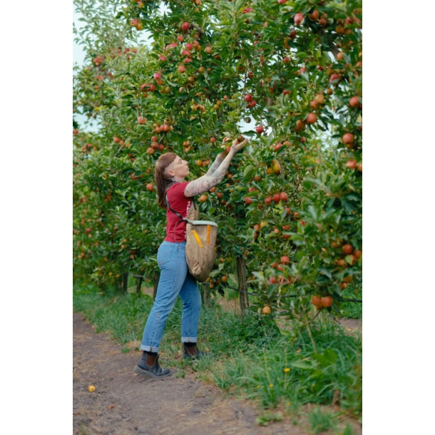  Blundstone 192 sikkerhedsstvle S2 - brun