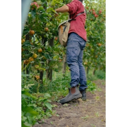  Blundstone 192 sikkerhedsstvle S2 - brun