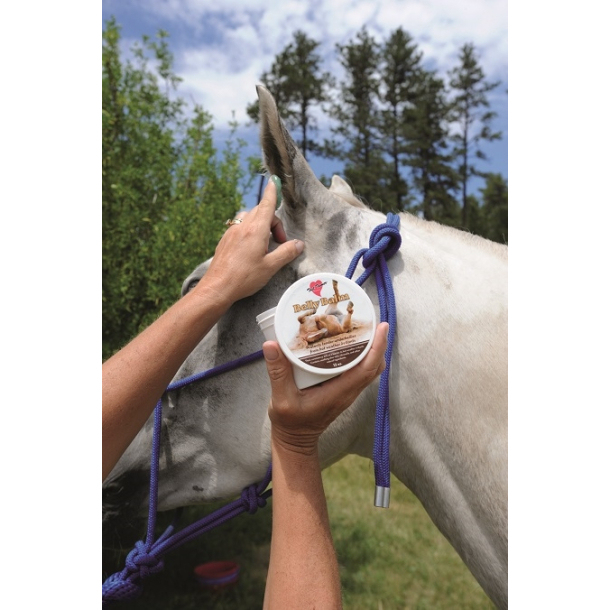  Belly Balm Professional's Choice