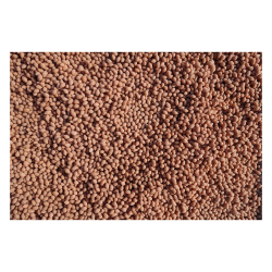 Salvana Biotin Dragee  