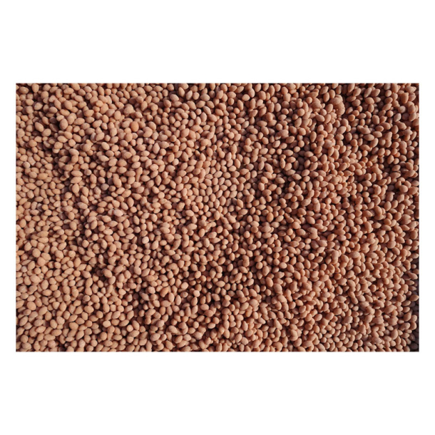 Salvana Biotin Dragee  