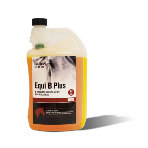 Equi B Plus Vitamin 1000 ml 