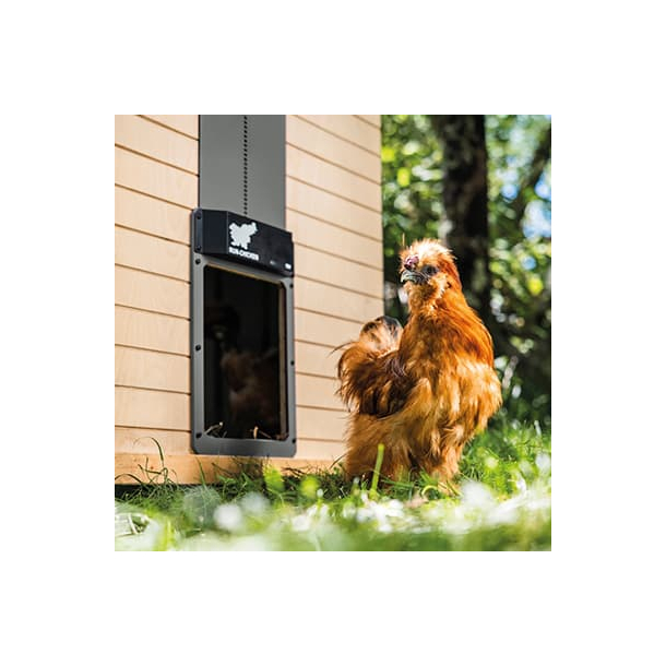 H�nsed�r automatisk med batteri T50