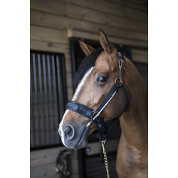 Busy Buddy fra ThinLine � din hests nye, afslappende ven