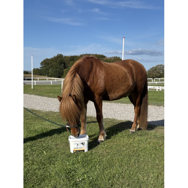EquiGluco Sense 5 kg