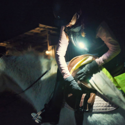 MEOLINQ Light 01 - lampe