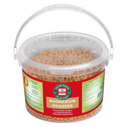 Salvana Magnesium Dragee  