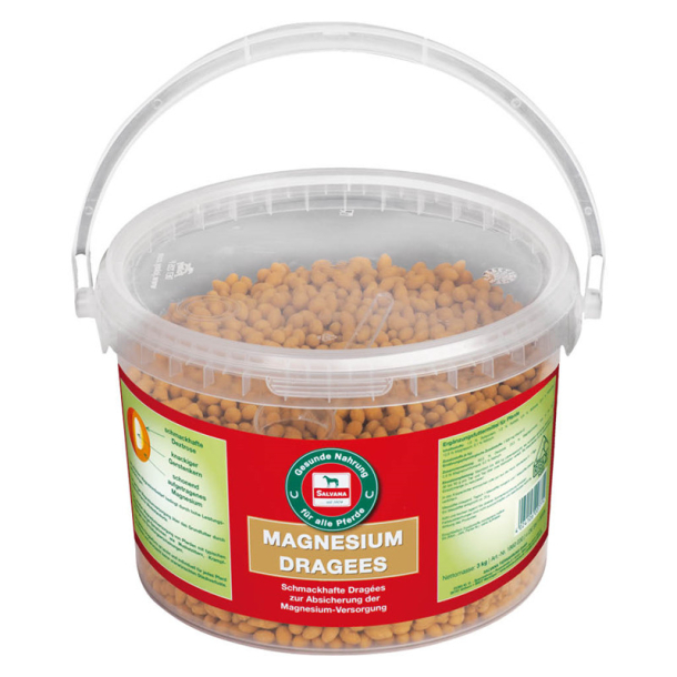 Salvana Magnesium Dragee  