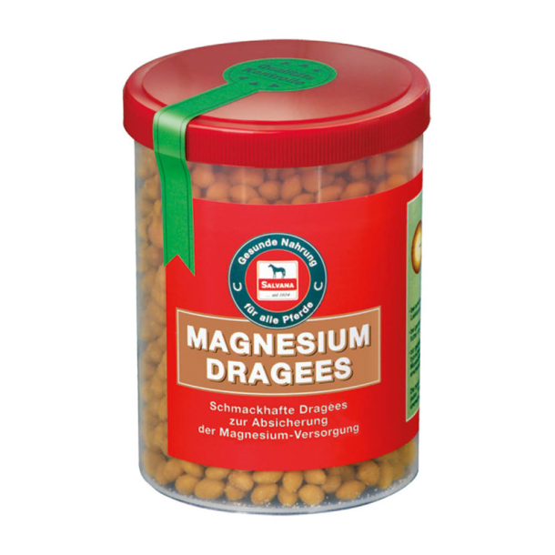 Salvana Magnesium Dragee  