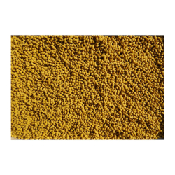 Salvana Magnesium Dragee  