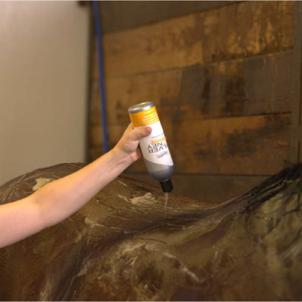 Silver Honey Hygienic Shampoo 473ml