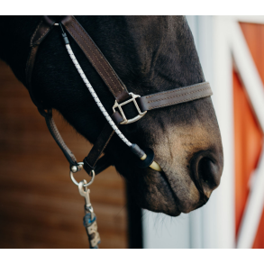 Busy Buddy fra ThinLine � din hests nye, afslappende ven