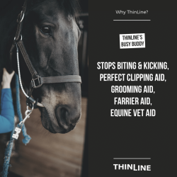 Busy Buddy fra ThinLine � din hests nye, afslappende ven