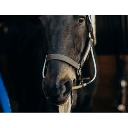 Busy Buddy fra ThinLine � din hests nye, afslappende ven