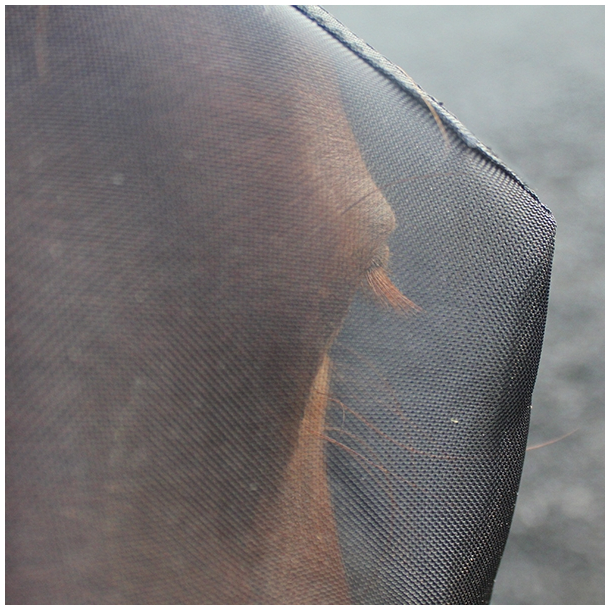 Woof Wear | UV Fly Mask m/re