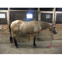 Eksem halsd�kken med h�tte fra Snuggy Hoods