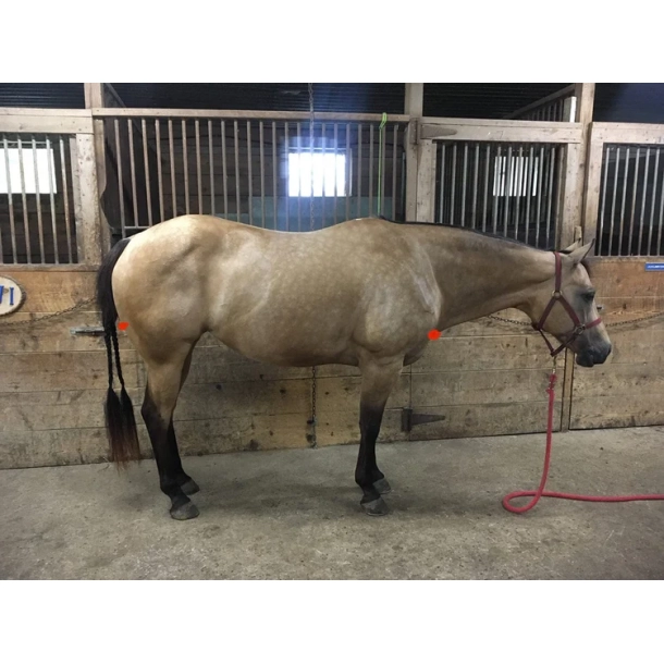 Eksem halsd�kken med h�tte fra Snuggy Hoods