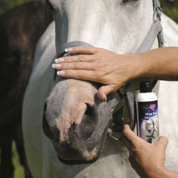 Tail Tamer | Mug Balm Face Shield